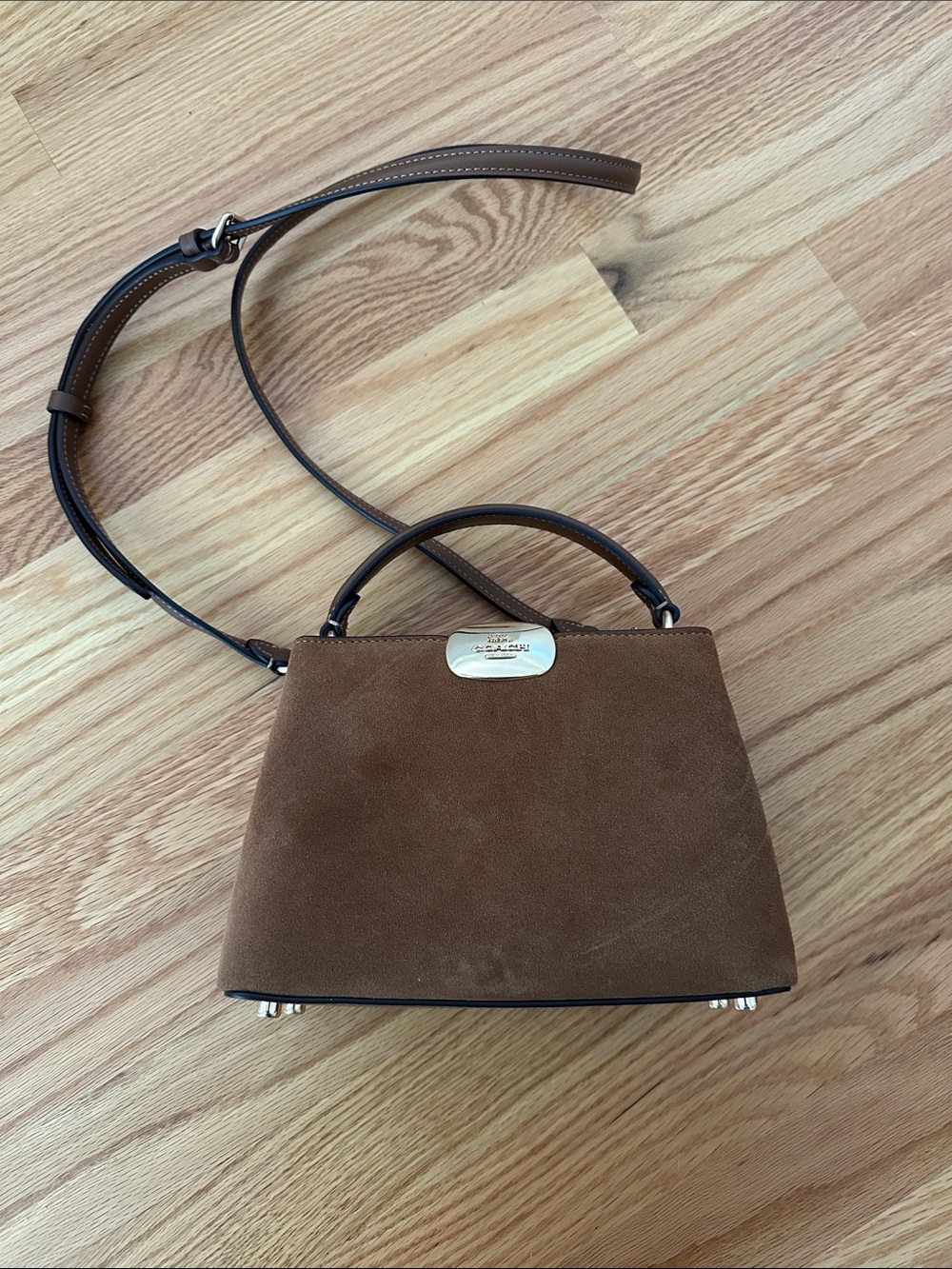 Eliza Mini Carryall Bag In Suede